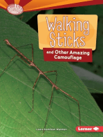 Walking Sticks and Other Amazing Camouflage