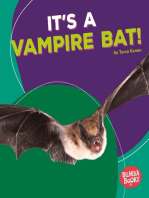 It's a Vampire Bat!