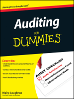 Auditing For Dummies