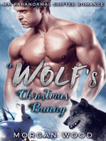 A Wolf’s Christmas Bunny