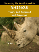 Rhinos