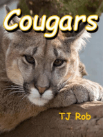Cougars: Discovering The World Around Us