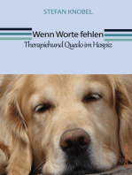 Wenn Worte fehlen: Therapiehund Quedo im Hospiz