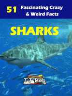 Sharks: Amazing Animal Facts