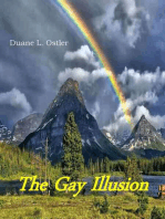 The Gay Illusion
