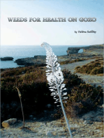 Weeds For Health On Gozo