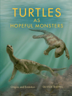 Turtles as Hopeful Monsters: Origins and Evolution