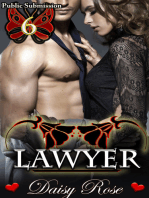 Public Submission 6: Lawyer