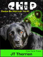 Chip: A Shadow the Black Lab Tale #3