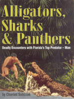 Alligators, Sharks & Panthers