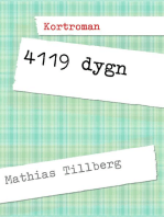 4119 dygn