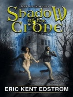 Shadow of the Crone: Sal Van Sleen, #3