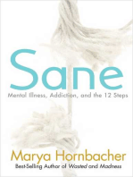 Sane: Mental Illness, Addiction, and the 12 Steps
