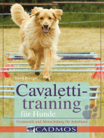 Cavalettitraining für Hunde: Gymnastik und Abwechslung für Jederhund