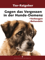 Gegen das Vergessen in der Hunde-Demenz: Vorbeugen Behandeln