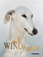 Windhunde: Schnell, sanft, liebenswert