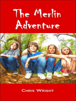 The Merlin Adventure