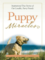 Puppy Miracles