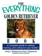 The Everything Golden Retriever Book: A Complete Guide to Raising, Training, and Caring for Your Golden