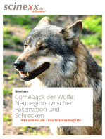 Comeback der Wölfe: Neubeginn zwischen Faszination und Schrecken