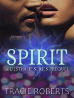 Spirit: The Destined Series