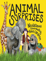 Animal Surprises