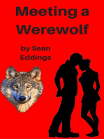 Meeting A Werewolf