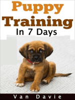 Puppy Training in 7 Days