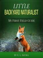 Little Backyard Naturalist: My First Field Guide, #4