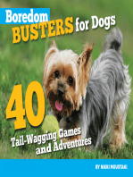 Boredom Busters for Dogs