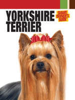 Yorkshire Terrier