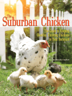 The Suburban Chicken: The Guide to Keeping Healthy, Thriving Chickens in Your Backyard