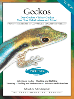 Geckos: Day Geckos, Tokay Geckos Plus New Caledonians and More!
