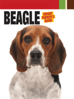 Beagle: The Pain, Politics and Promise of Sports