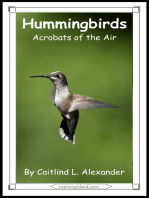 Hummingbirds: Acrobats of the Air