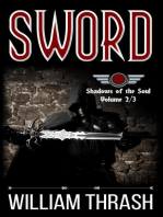 Sword: Shadows of the Soul, #2