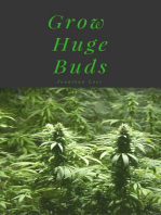 Grow Huge Buds