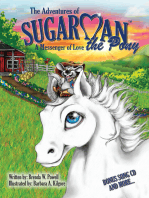 The Adventures of Sugarman the Pony: A Messenger of Love