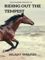 Riding Out the Tempest