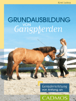 Grundausbildung von Gangpferden: Geraderichtung von Anfang an