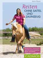 Reiten ohne Sattel und Zaumzeug: Harmonie, Vertrauen und Respekt zwischen Pferd und Reiter