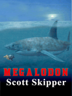 Megalodon