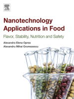 Nanotechnology Applications in Food: Flavor, Stability, Nutrition and Safety