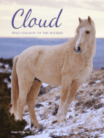 Cloud: Wild Stallion of the Rockies, Revised and Updated