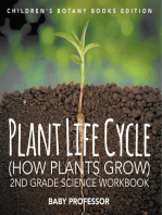 Plant Life Cycle (How Plants Grow): 2nd Grade Science Workbook | Children's Botany Books Edition