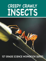 Creepy Crawly Insects : 1st Grade Science Workbook Series