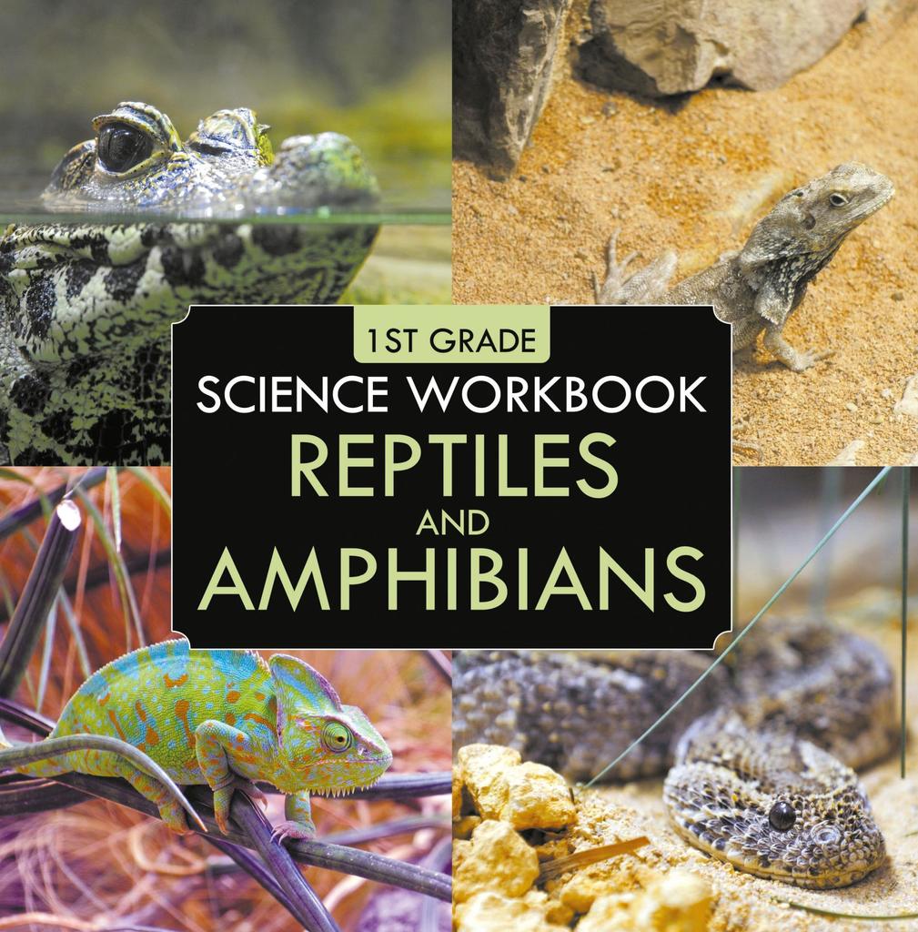 Read 1st Grade Science Workbook: Reptiles and Amphibians Online by Baby