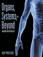 Organs, Systems, and Beyond | Anatomy and Physiology