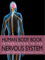 Human Body Book | Introduction to the Nervous System | Children's Anatomy & Physiology Edition