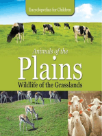 Animals of the Plains| Wildlife of the Grasslands | Encyclopedias for Children